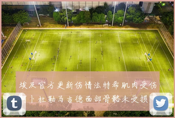 埃及官方更新伤情法特希肌肉受伤阿卜杜勒马吉德面部骨骼未受损