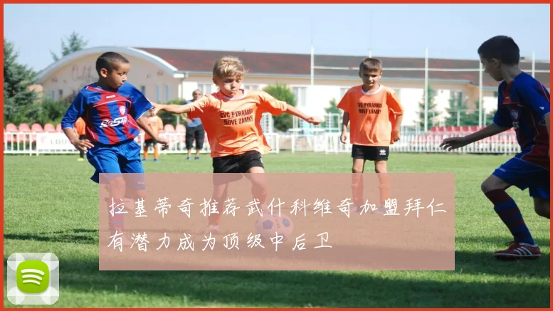 拉基蒂奇推荐武什科维奇加盟拜仁有潜力成为顶级中后卫